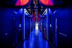 贵州正在数字经济范畴实现逾越式成长